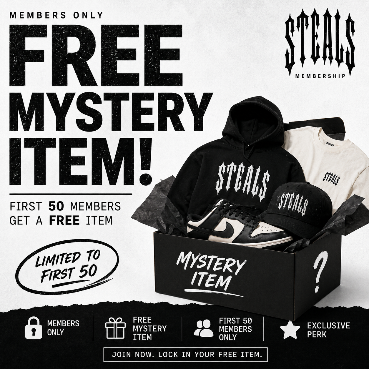 FREE MYSTERY ITEM MEMBERS ONLY